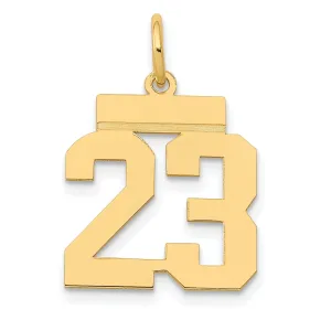 14k Yellow Gold Polished Finish Small Size Number 23 Charm Pendant